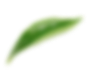 leafDecoration
